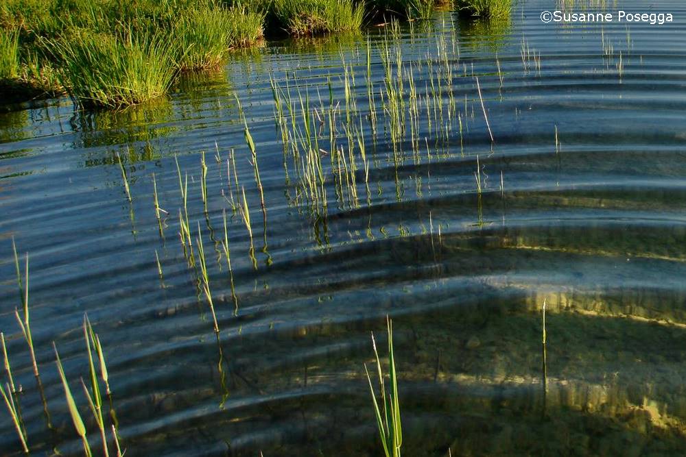 Die-Wegemacherin-aus-St.Gotthard